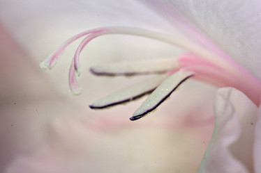 Similar image 10496681