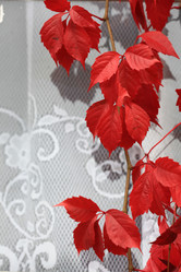 Similar image 10496682