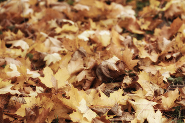 Similar image 10496684