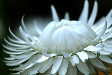 Similar image 10496687