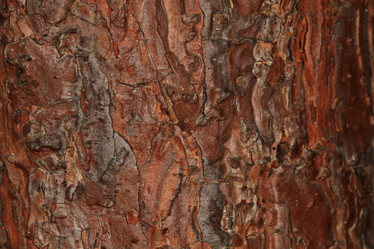 Similar image 10496693