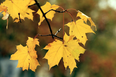 Similar image 10496696