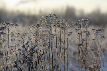 Similar image 10496703