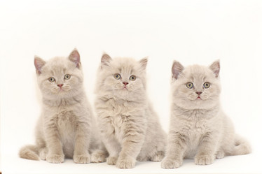 Similar image 10496716