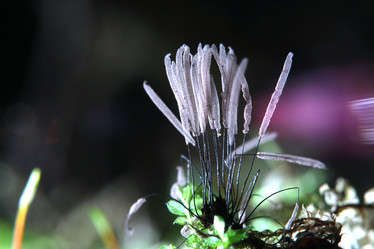 Similar image 10496722