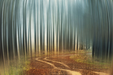 Similar image 10496729