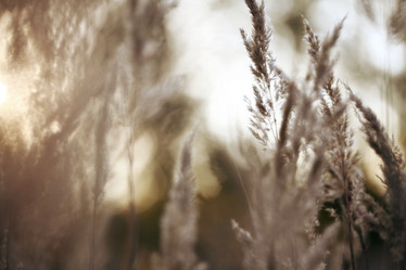 Similar image 10496739