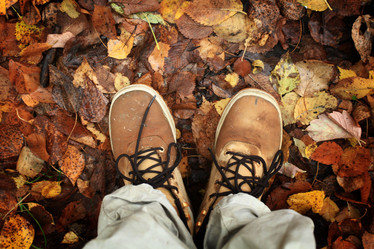 Similar image 10496740