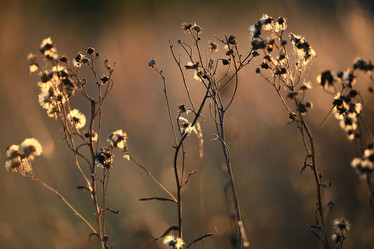 Similar image 10496743