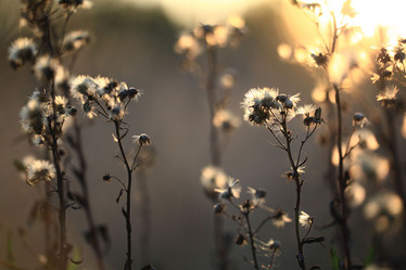 Similar image 10496745