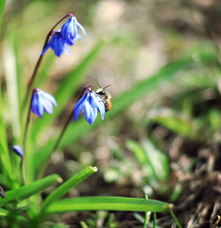 Similar image 10496757