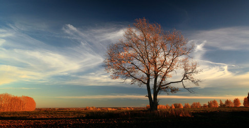 Similar image 10496758