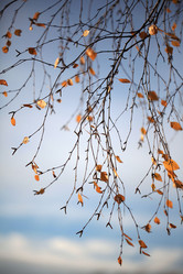 Similar image 10496760