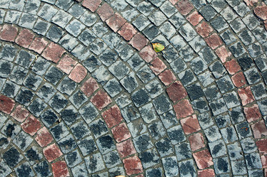 Similar image 10496767