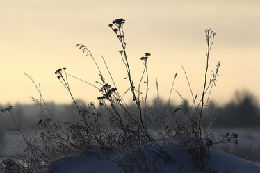 Similar image 10496769