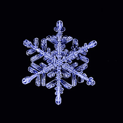 Similar image 10496770