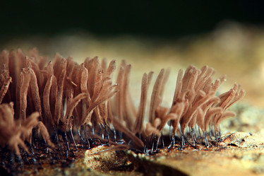 Similar image 10496771