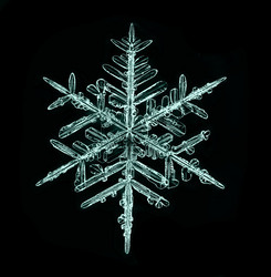 Similar image 10496772