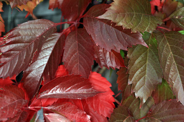 Similar image 10496775