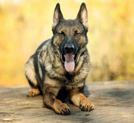 Similar image 10496778