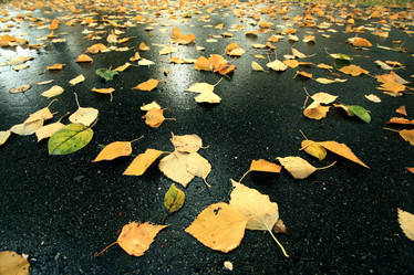 Similar image 10496780