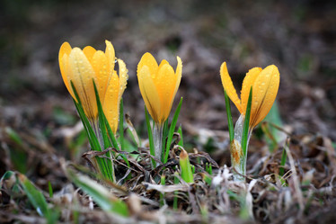 Similar image 10496781