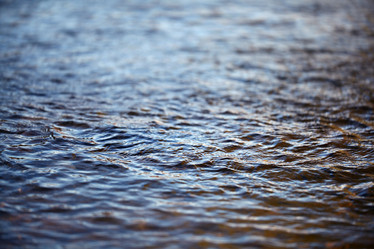 Similar image 10496784