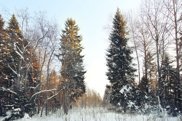 Similar image 10496785