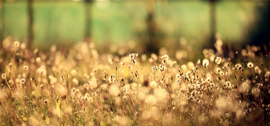 Similar image 10496787