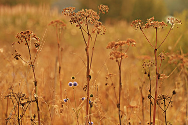 Similar image 10496790