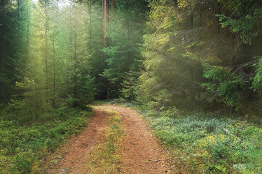 Similar image 10496801