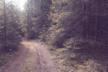 Similar image 10496803