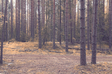 Similar image 10496805