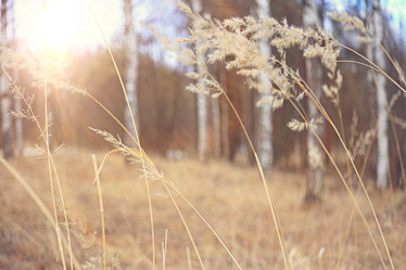 Similar image 10496822