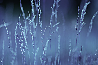 Similar image 10496826