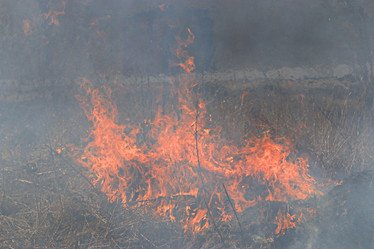 Similar image 10496835