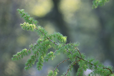 Similar image 10496836