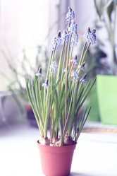 Similar image 10496842