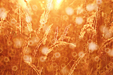 Similar image 10496843