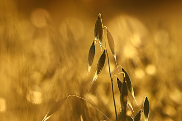 Similar image 10496844