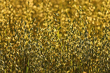 Similar image 10496845