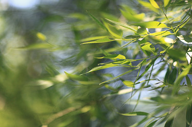 Similar image 10496848