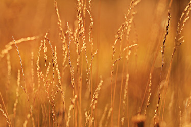 Similar image 10496853