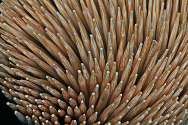 Similar image 10496854