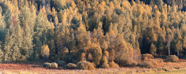 Similar image 10496856