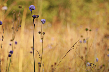 Similar image 10496858