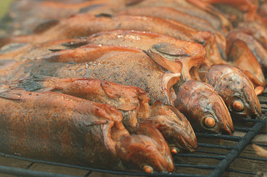 Similar image 10496859