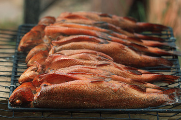 Similar image 10496860