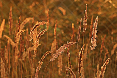 Similar image 10496864