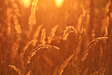 Similar image 10496865